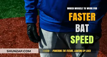Boost Bat Speed: Key Muscles to Train for Power Hitting