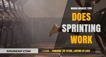 Sprinting's Power: Unlocking Fast-Twitch Muscles for Explosive Speed and Strength