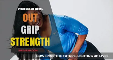 Boost Your Grip Strength: Key Muscles for a Powerful Hold
