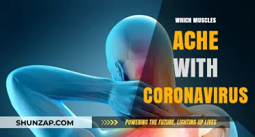 Coronavirus: Understanding the Muscle Aches and Pains