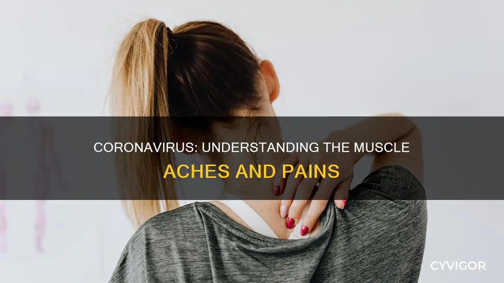 which muscles ache with coronavirus