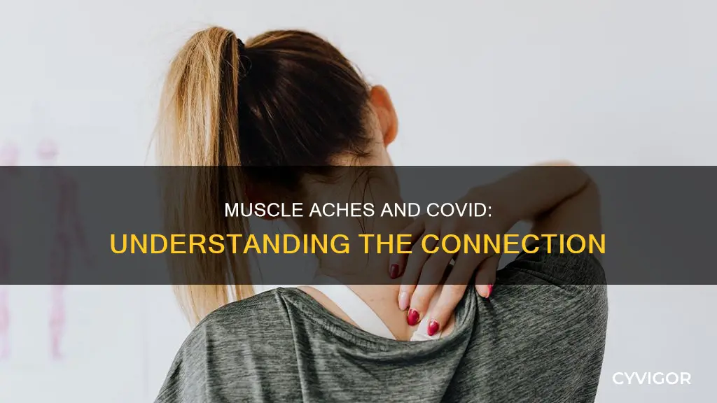 which muscles ache with covid