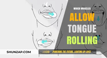 Tongue Rolling: Muscles Involved and Genetics