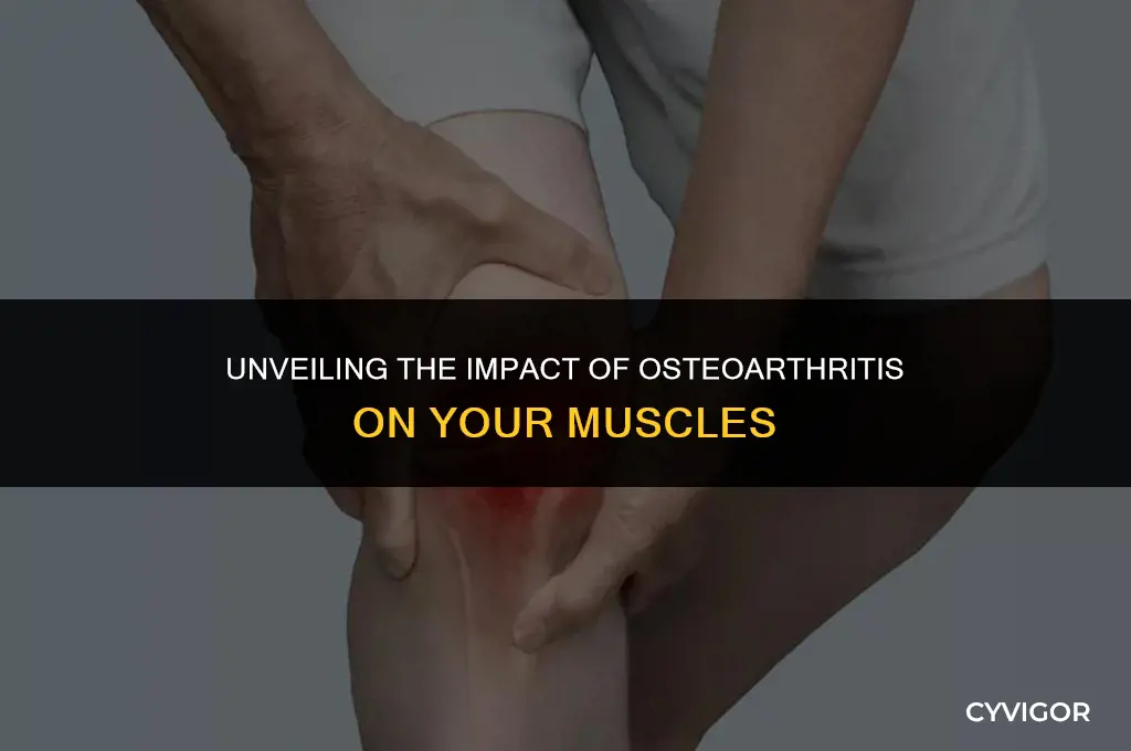 which muscles are affected by osteoarthritis