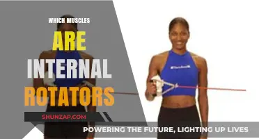 Internal Rotator Muscles: What You Need to Know
