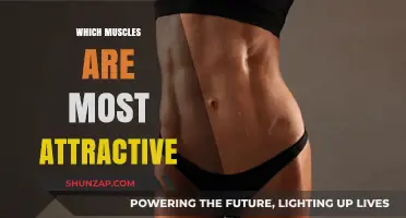 The Ultimate Guide to Muscles That Make Heads Turn