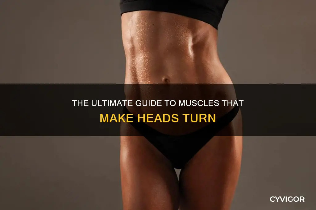 which muscles are most attractive