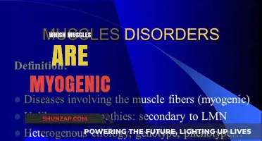 Myogenic Muscles: Unlocking the Powerhouses of Human Movement