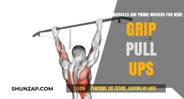 Prime Movers for Wide Grip Pull-Ups: Muscles That Power the Lift
