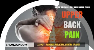 Understanding Upper Back Pain: Key Muscles and Their Role
