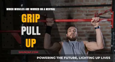 Neutral Grip Pull-Ups: Targeted Muscles and Benefits Explained
