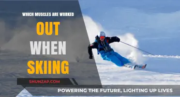 Skiing's Full-Body Workout: Muscles Engaged on the Slopes