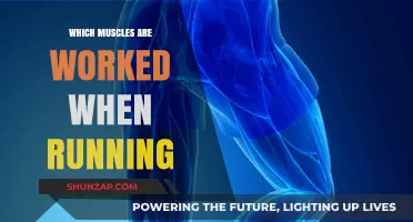 Running's Muscle Power: Unveiling the Key Muscles in Motion