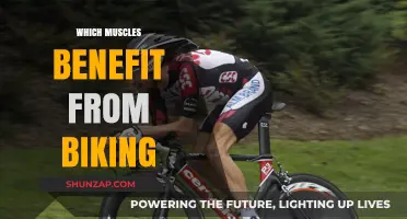 Cycling's Muscle Benefits: A Full-Body Workout
