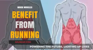 Running: Targeted Muscle Groups and Their Benefits