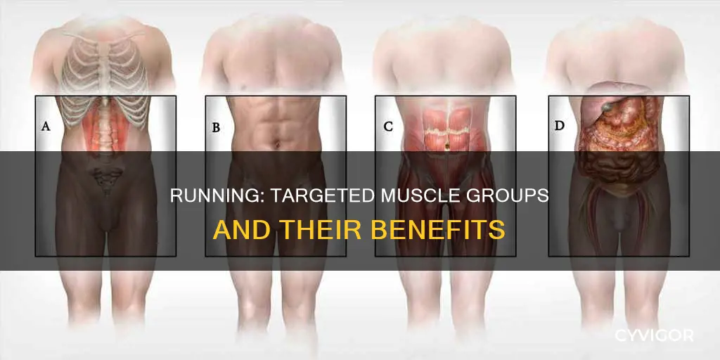 which muscles benefit from running