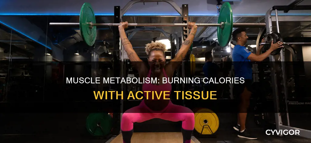 which muscles burn most calories