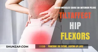 How Hip Flexors and Core Muscles Contribute to Anterior Pelvic Tilt