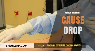 Understanding Muscles Responsible for Drop Foot: Causes and Solutions
