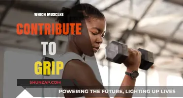 Grip Strength: Muscles That Make It Happen
