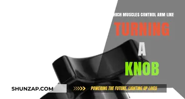 Muscles Controlling Arm Movements: Turning a Knob Explained