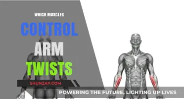 Understanding Arm Twist Mechanics: Muscles Behind Rotational Movements
