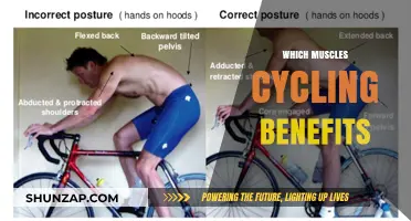 Cycling's Muscle Benefits: Targeting Full-Body Strength