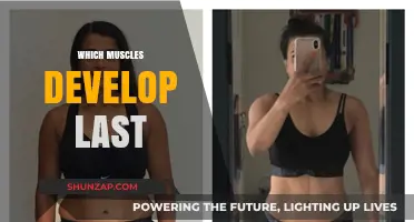 Muscles That Develop Last: Understanding Your Body's Growth