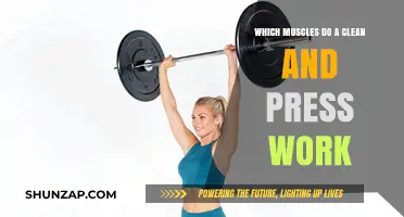 Clean and Press: Muscles Targeted in This Full-Body Compound Lift