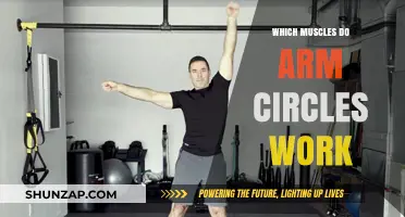 Arm Circles: Targeted Muscles and Benefits for Upper Body Strength