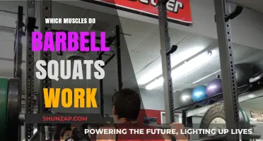 Barbell Squats: Target Muscles and Full-Body Strength Benefits Explained