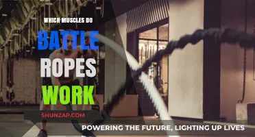 Battle Ropes Muscles: Targeted Workout Benefits and Key Areas Trained