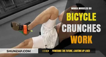 Bicycle Crunches: Targeted Muscles for Core Strength and Toning