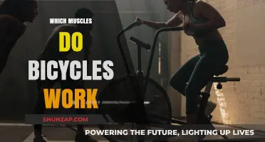 Pedal Power: Muscles Engaged and Strengthened by Cycling