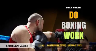 Boxing's Muscle Power: Unveiling the Key Muscles in Every Punch