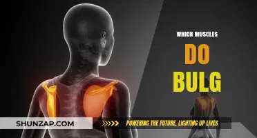 Build Bulging Biceps: These Muscles Respond Best