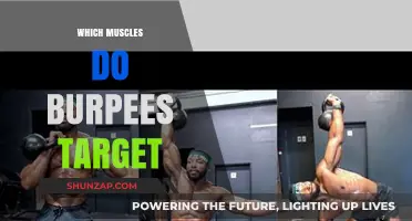 Burpees: Which Muscles Do They Target?