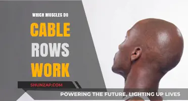 Cable Rows: Targeted Muscles and Benefits for a Stronger Back