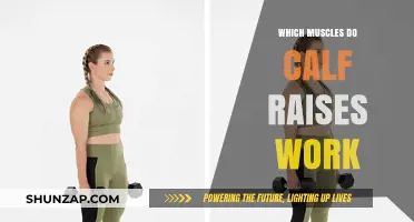 Calf Raises: Targeted Muscles and Benefits for Stronger Lower Legs