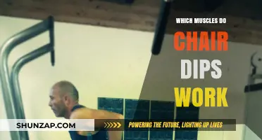 Chair Dips: Targeting Triceps, Shoulders, and Core Muscles Effectively