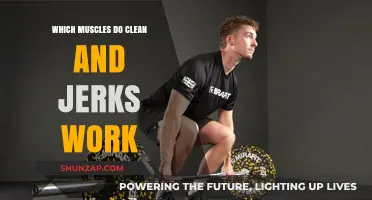 Clean and Jerks: Targeted Muscles for Strength and Power Training