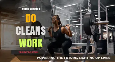 Muscles Targeted by Cleans: A Comprehensive Breakdown of Power Moves