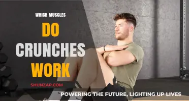 Crunches Target: Core Muscles Worked and Benefits Explained
