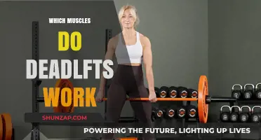 Deadlifts: Unlocking Full-Body Strength and Targeted Muscle Engagement