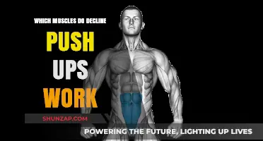 Decline Push-Ups: Targeted Muscles and Benefits Explained