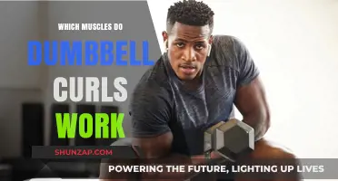 Dumbbell Curls: Target Muscles and Benefits for Stronger Arms
