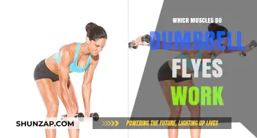 Dumbbell Flyes: Targeting Chest, Shoulders, and Upper Body Muscles