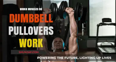 Dumbbell Pullovers: Targeted Muscles and Benefits Explained