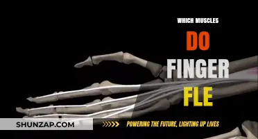 Flexing Finger Muscles: Which Ones Are at Work?