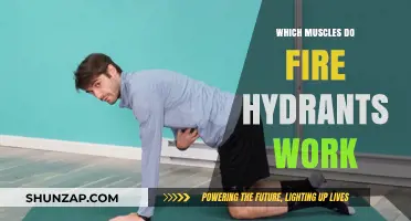 Fire Hydrant Exercise: Targeted Muscles and Benefits Explained